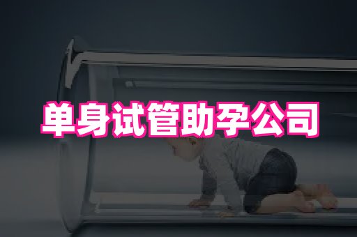 821孕网 1